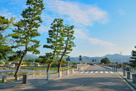 Osaka/Kyoto: Nara, Arashiyama, Fushimi Inari Taisha Day Tour Kyoto & Nara Day Tour | 8:00 AM from Osaka