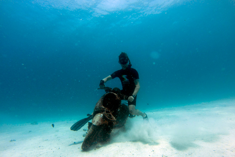 Phuket: PADI 2-Day Basic Freediver Course Phuket: AIDA Freediving Courses 1 Star