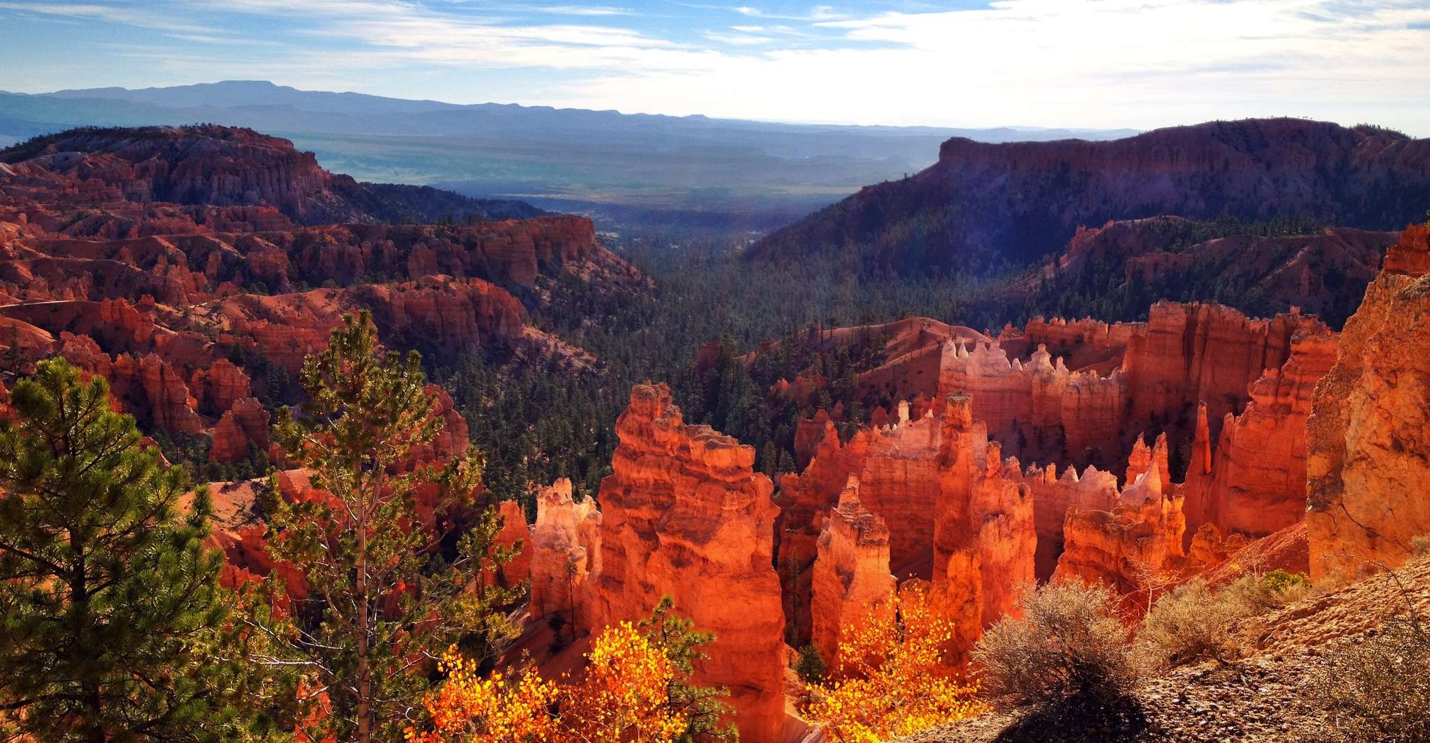 Von Salt Lake City, Yellowstone und Tetons Parks in 4 Tagen - Hizvo