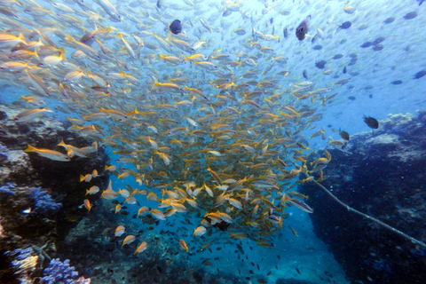 Descubra Mergulho Racha Yai de Phuket