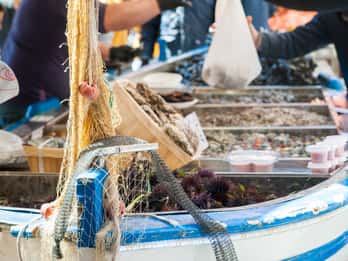 Fasano: Market, Cooking Demo & Meal at a Local's Home
