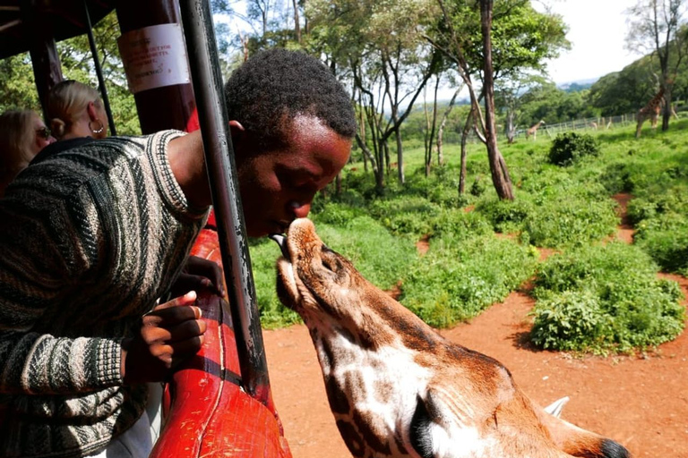 David Sheldrick Wildlife Trust & Giraffe Center with Lunch