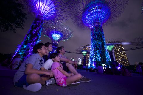 Singapour : billet combiné SEA Aquarium & Gardens by the Bay
