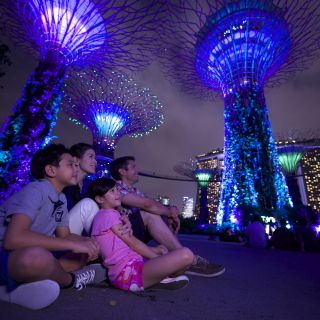 Singapore: S.E.A. Aquarium & Gardens by the Bay Combo Ticket