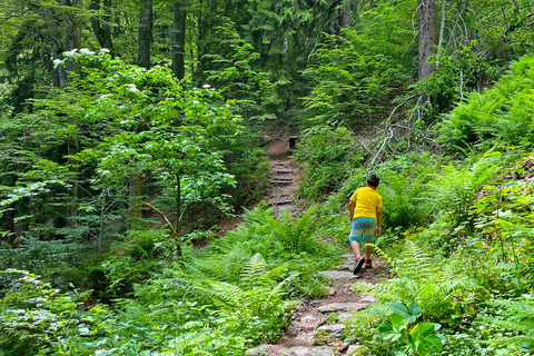 Watervallen Tour vanuit Sarajevo: Wandeling en Bosnische Lunch