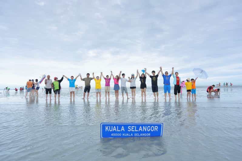 Sky Mirror Kuala Selangor and Sekinchan Paddy Field Tour GetYourGuide