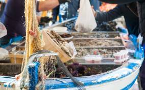 Ischia: Market Tour and 4-Course Meal