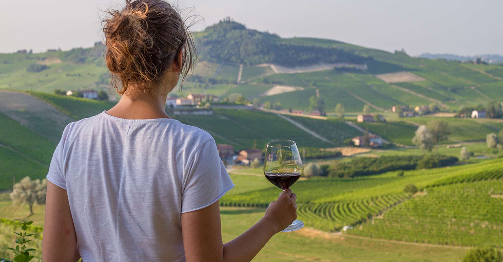 Nafplion, Nemea Vineyards Şarap Turu - Hizvo