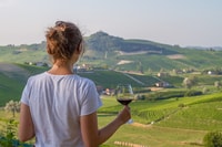 Nafplion, Visite des vins du vignoble de Nemea - Hizvo