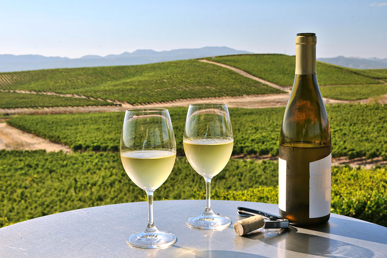 Nafplion: Nemea Vineyards Wine Tour