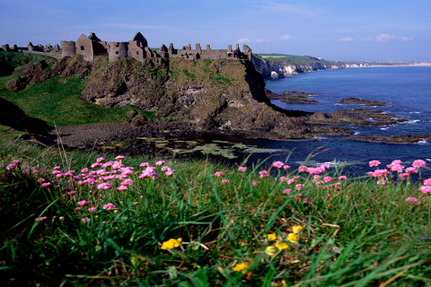 Depuis Dublin : visite de Belfast et la Chaussée des Géants