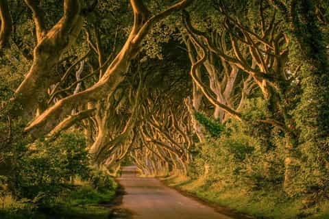 From Dublin: Game of Thrones Tour