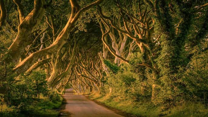 from dublin game of thrones tour