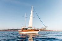 Luxury Sunset Dinner Yacht Cruise - Housity