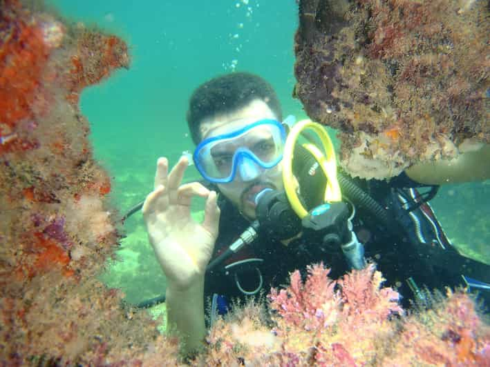 Djerba Introductory Scuba Diving Session Getyourguide