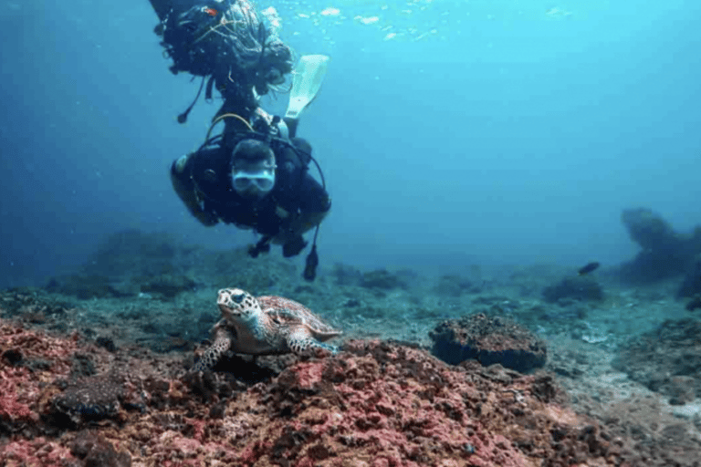 Phi Phi: Scuba diving with Portuguese speaking instructor Phi Phi Island: Scuba diving with Portuguese instructor