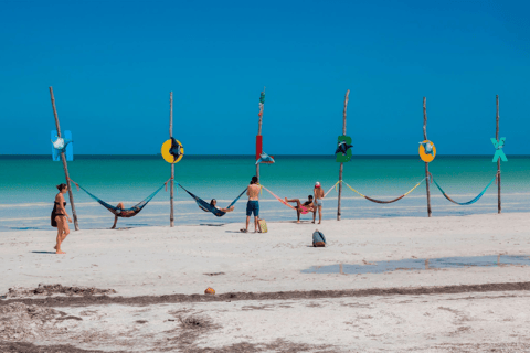 Holbox : boat tour, golfcart, beach club, pick up available Holbox tour from Cancun hotel zone , Costa mujeres, downtown
