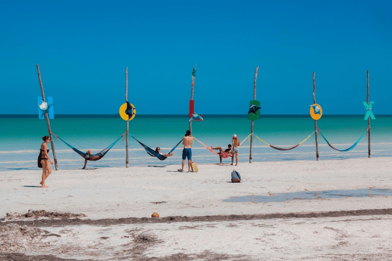 Holbox : boat tour, golfcart, beach club, pick up available Holbox tour from Cancun hotel zone , Costa mujeres, downtown