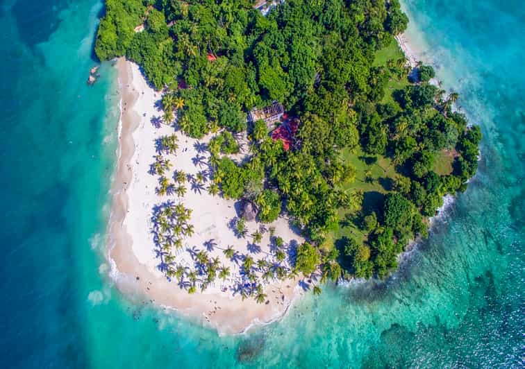 Punta Cana Ganztägige Erfahrung in der Bucht von Samana GetYourGuide