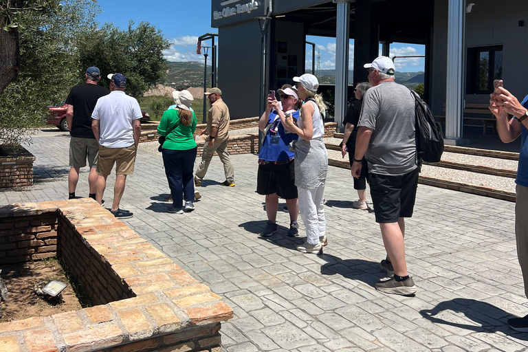 Katakolo: Guided Olympia Tour with Local Experiences