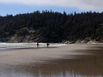 Von Portland: Tagesausflug an die Nordküste von Oregon Von Portland: Tagesausflug an die Nordküste von Oregon