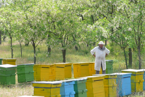 De Bucarest: leçon d'apiculture privée et déjeuner localDe Bucarest: cours d'apiculture privé et déjeuner local