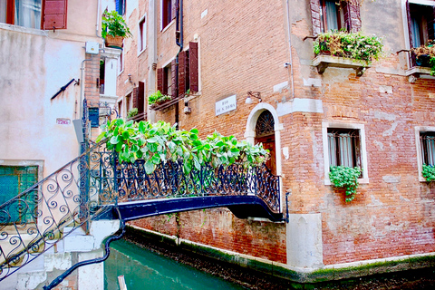 Venise : visite à pied de 2 h de San Polo et du RialtoVenise : visite à pied de 2 h du quartier de San Polo