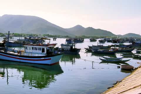 Aswan: Private Nile Boat Cruise and Botanical Garden Visit