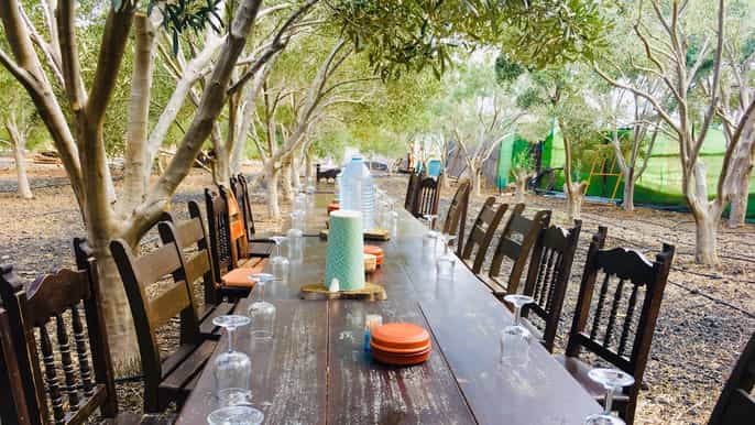 fuerteventura tapas and culture tour