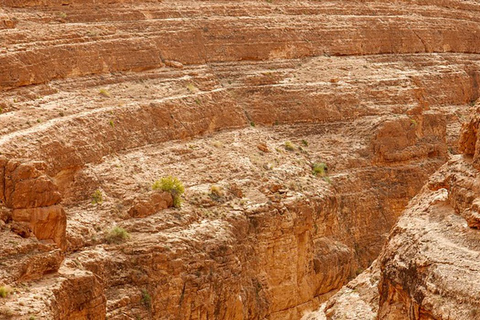 Desde Yerba: Excursión de 2 días a Tozeur, la matmata de los Oasis de Montaña