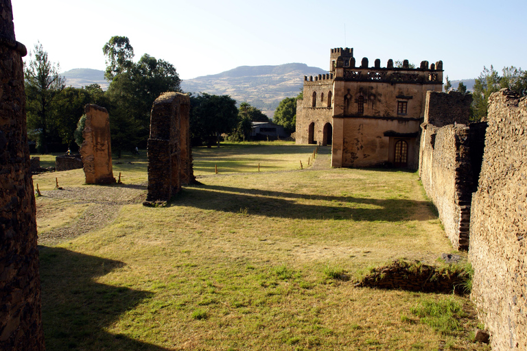 Addis Abeba: 10-dniowa wycieczka w góry Simien i Lalibela