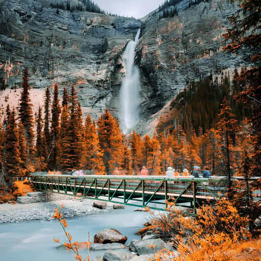 Banff: Emerald Lake, Wapta Falls & Takakkaw Falls Day Trip