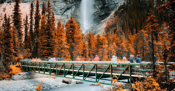 Banff: Day Trip to Emerald Lake, Wapta Falls, Takakkaw Falls