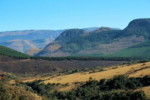 From Hazyview: Panorama Tour Highlights