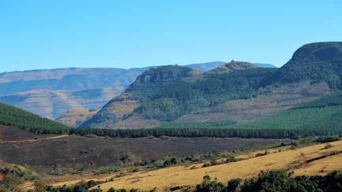 de hazyview panorama tour destaques