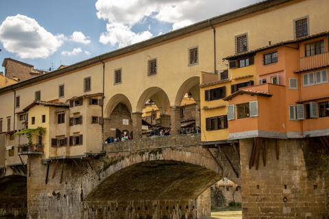 Firenze: tour a piedi della città rinascimentaleOpzione standard