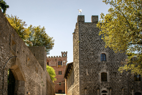 Florence: excursion privée d'une journée dans les vignobles du Chianti en Toscane avec déjeuner