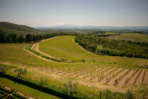 Florence: excursion privée d'une journée dans les vignobles du Chianti en Toscane avec déjeuner