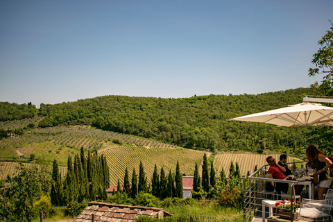 Florence: excursion privée d'une journée dans les vignobles du Chianti en Toscane avec déjeuner