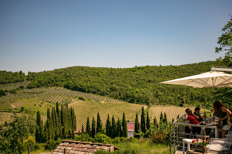 Florencia: excursión privada de un día a la bodega Chianti de la Toscana con almuerzo