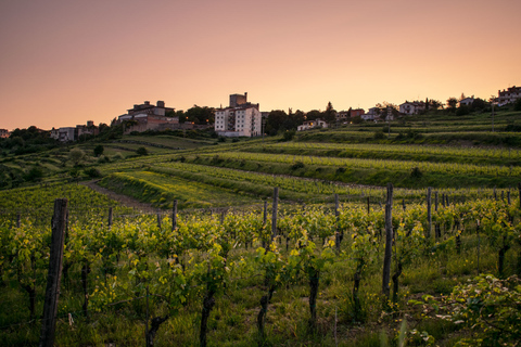 Florence: excursion privée d'une journée dans les vignobles du Chianti en Toscane avec déjeuner