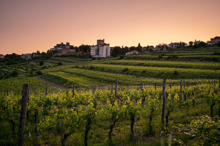 Florence: Tuscany Chianti Winery Private Day-Trip with LunchPrivate Day Trip with Lunch