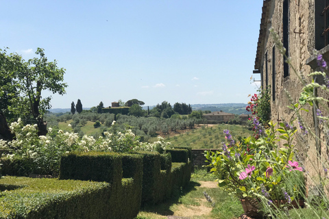 Florence: excursion privée d'une journée dans les vignobles du Chianti en Toscane avec déjeuner