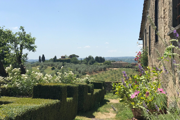 Florence: excursion privée d'une journée dans les vignobles du Chianti en Toscane avec déjeuner