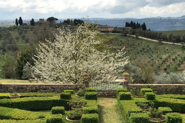 Florence: Tuscany Chianti Winery Private Day-Trip with LunchPrivate Day Trip with Lunch