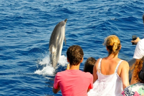 Muscat: dolfijnen spotten en snorkelen
