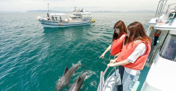 Muscat: Dolphin Watching and Snorkeling Tour