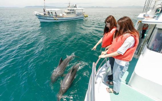 Muscat: Delphinbeobachtung und Schnorcheltour