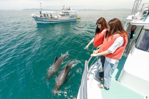 Maskat: Delfinbeobachtung und Schnorcheltour