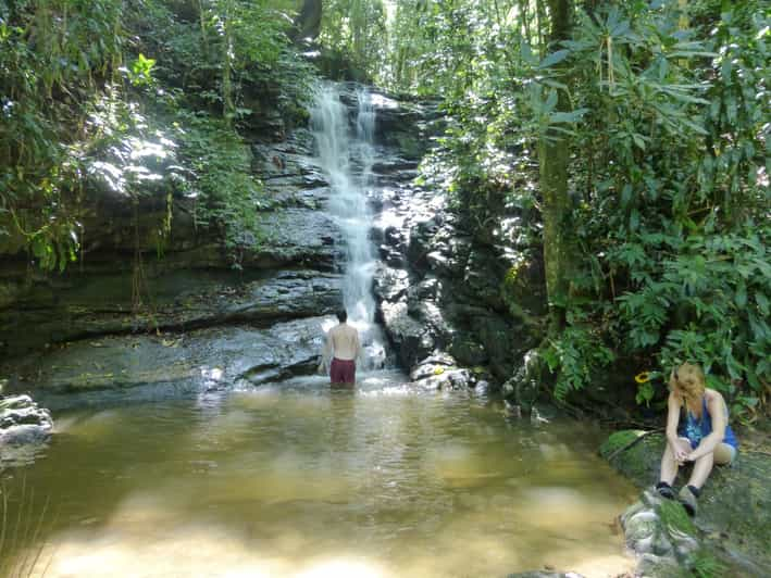 Tijuca National Park: Hike to The Peak | GetYourGuide